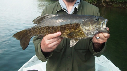 One of Josh Pfeiffer's clients holding a large smallmouth bass.